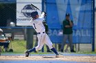 Baseball vs Babson  Wheaton College Baseball vs Babson during Semi final game of the NEWMAC Championship hosted by Wheaton. - (Photo by Keith Nordstrom) : Wheaton, baseball, NEWMAC